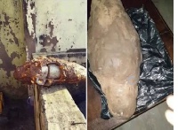The man uncovered the patch and realised that the yam had been laced with drugs