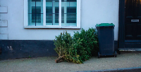 Recycling centres and tree collection services are available across the region