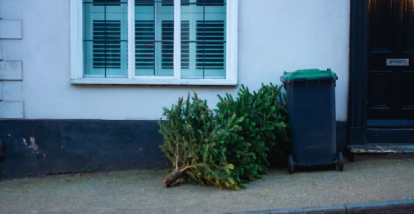 Recycling centres and tree collection services are available across the region