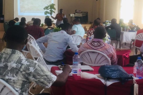 Stakeholders collaborate to address deforestation and boost cocoa production