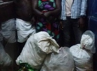 The suspects were arrested in a room while processing dry leaves suspected to be Indian Hemp