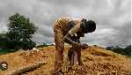 Cameroon uncovers more than 200 illegal gold mines, mostly foreign-owned
