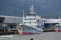 The vessel was allowed to leave Ghana on 14 November 2025, reportedly under Cameroonian registration