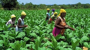 Ghana became a signatory to the CAADP in 2009