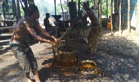 Palm oil producers at work