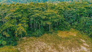 Adamus Resources Limited has refuted allegations of its involvement in illegal mining