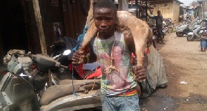 Goat Thief Kumasi
