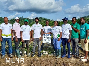 Youth in reafforestation