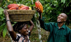 File Photo of Cocoa farmers