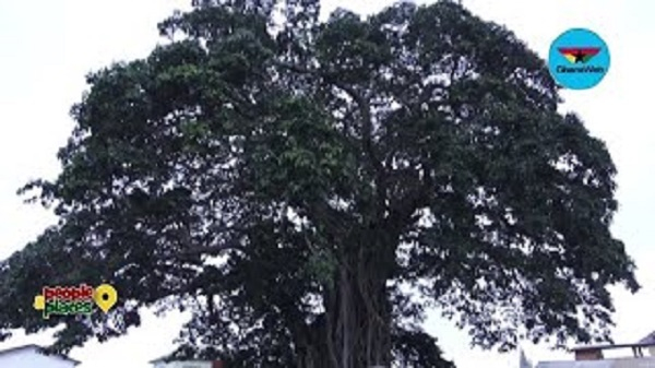 According to eyewitnesses, the incident occurred around 4:00 a.m. on September 29, 2025