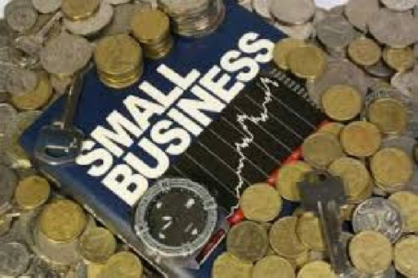 Small-Scale Enterprises (SSEs)