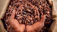 File photo of cocoa farmers