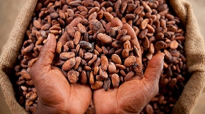 File Photo: Farmers bagging sacks of cocoa