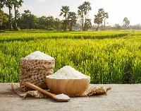 File photo of rice