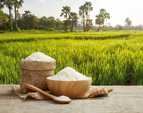 The committee will also oversee the preparation of the Rice Sector Development Policy