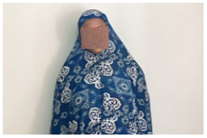 A photo of the suspect