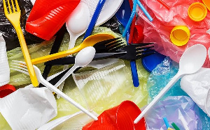 Single Use Plastics  