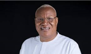 Prof. Joshua Alabi, head of the 2024 NDC campaign team