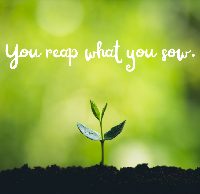You reap, what you sow