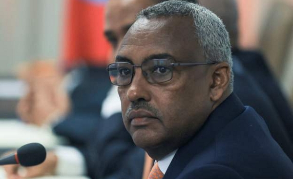 Demeke Mekonnen has been deputy prime minister since 2012