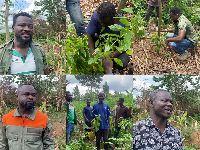 About 1,500 trees are expected to be planted around the dam