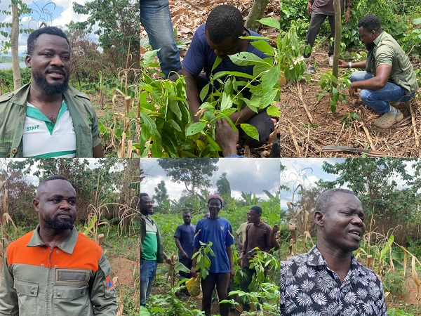 About 1,500 trees are expected to be planted around the dam