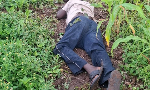 Yam theft suspect shot dead, farmer held in Oti Region