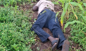 The suspected thief lying in a pool of blood The suspected thief lying in a pool of blood