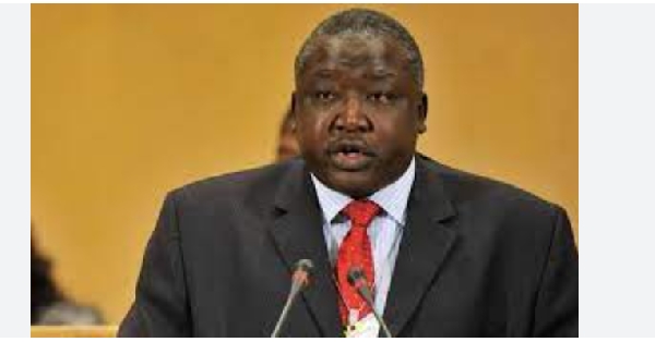 Critics say that the minister lacks an understanding of the causes of Uganda's food  challenges