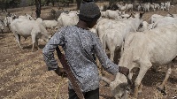 Fulani herdsmen have been accused of raping women in farming communities