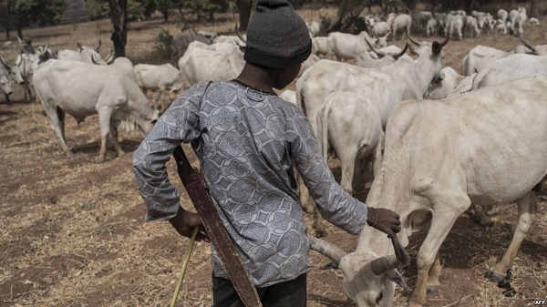 According to the DCE a task force has been set up to evict the herdsmen from the area