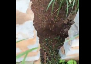 Suspected thieves removed the iron rods from the wall under conctruction