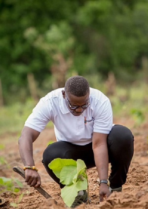 Green Republic Ghana project is aiming at planting over  20 million trees by the year 2028