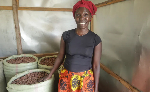 Saving shea: How a Ugandan woman is turning waste into clean energy Saving shea: How a Ugandan woman is turning waste into clean energy