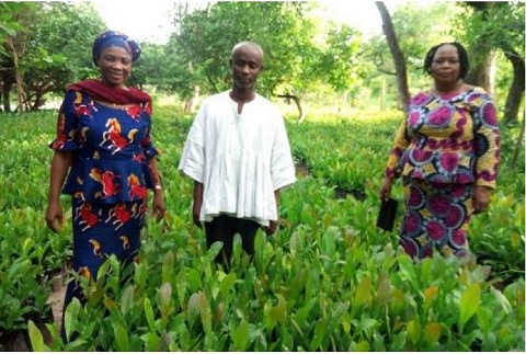 The seedlings are to be distributed to nearly one thousand famers in the area