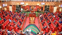 Members of Parliament (MPs) attending a parliament in session.