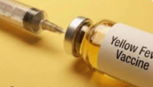 Yello fever vaccine