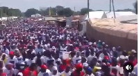 Thousands participate in massive walk for Bawumia