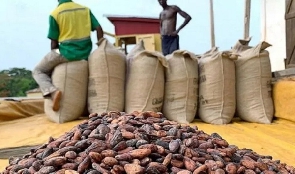 Cocoa farmers on the farm