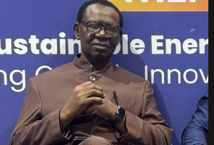 Professor Omowumi O Iledare, a renowned petroleum economist