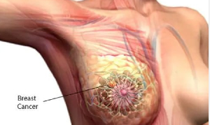 Screenshot 2026 03 05 163552.png