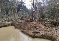 A look at the distorted Atiwa forest