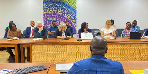 Participants of the Election Working Group meeting