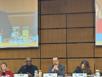 Dr Bonaa, seated second from left during a panel discussion