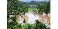 A man maneuvers through a flooded Nyakijumba Dairy Farm in Kabale Municipality on May 2, 2024.