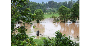 A man maneuvers through a flooded Nyakijumba Dairy Farm in Kabale Municipality on May 2, 2024.