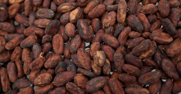 Ivory Coast resumes cocoa sales after months-long pricing dispute - Report