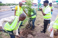 Planting of a tree ongoing