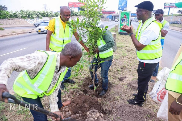 Planting of a tree ongoing