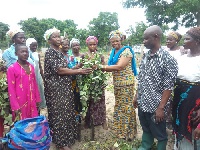 Bole DCE presenting the fresh sweet potatoes to the farmers